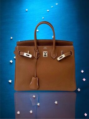💞HERMES Birkin 25 Togo Leather 'Hermes Gold' / Brown (37) Palladium Hardware